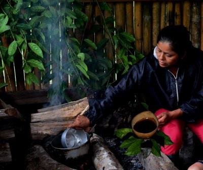 Guayusa in meiner Kindheit