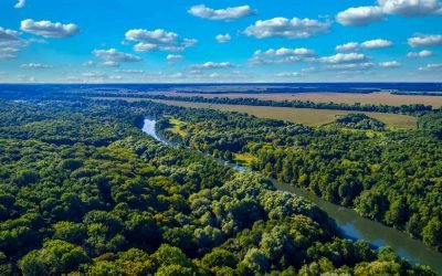 Chakra ein Anbausystem, das die Artenvielfalt und die Lebensgrundlage der Indigenen im Amazonasgebiet schützt.