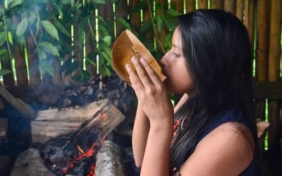 Guayusa- der Energy Tee aus dem Amazonas Ecuadors