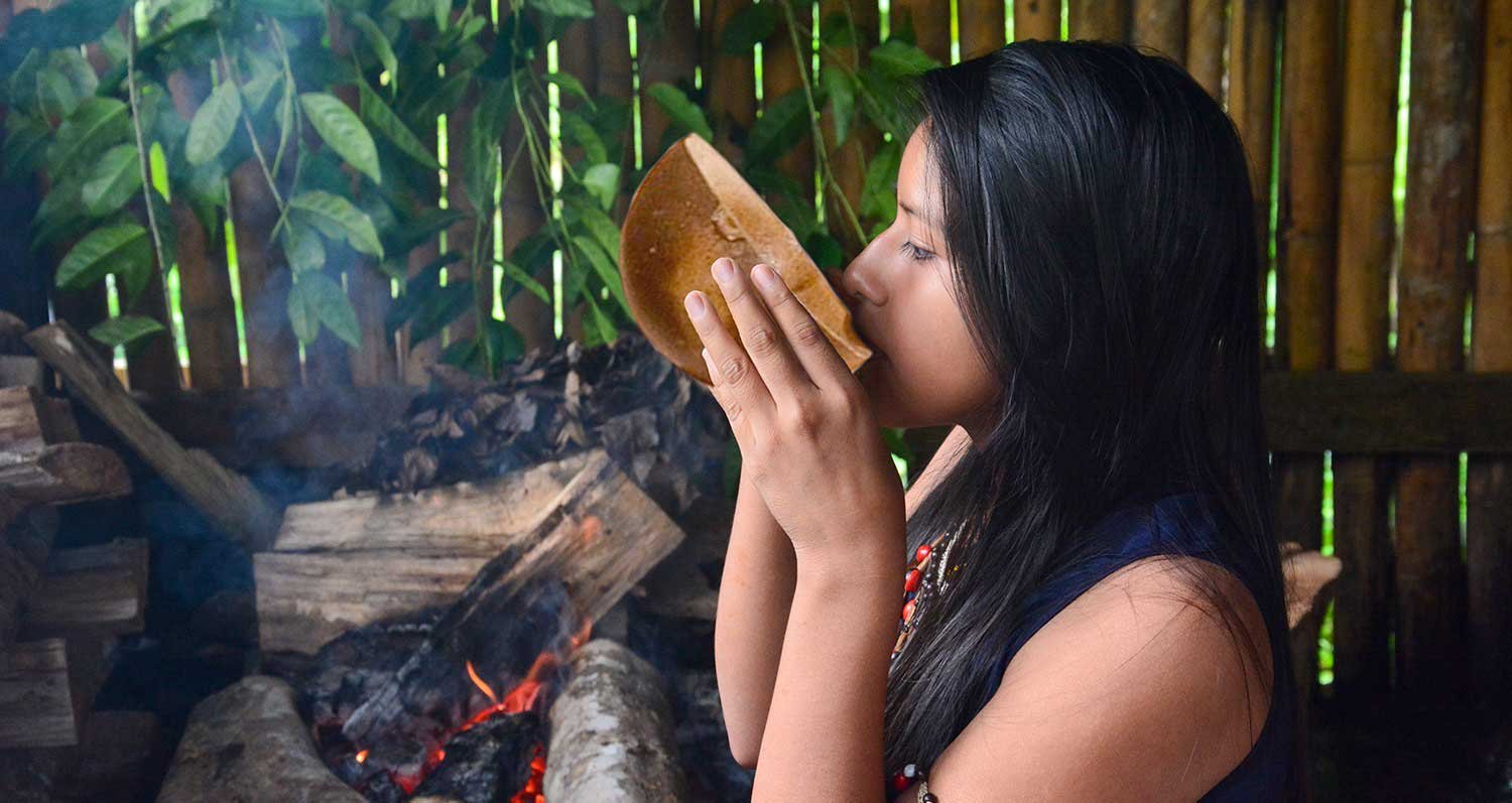 Guayusa-aus-amazonas