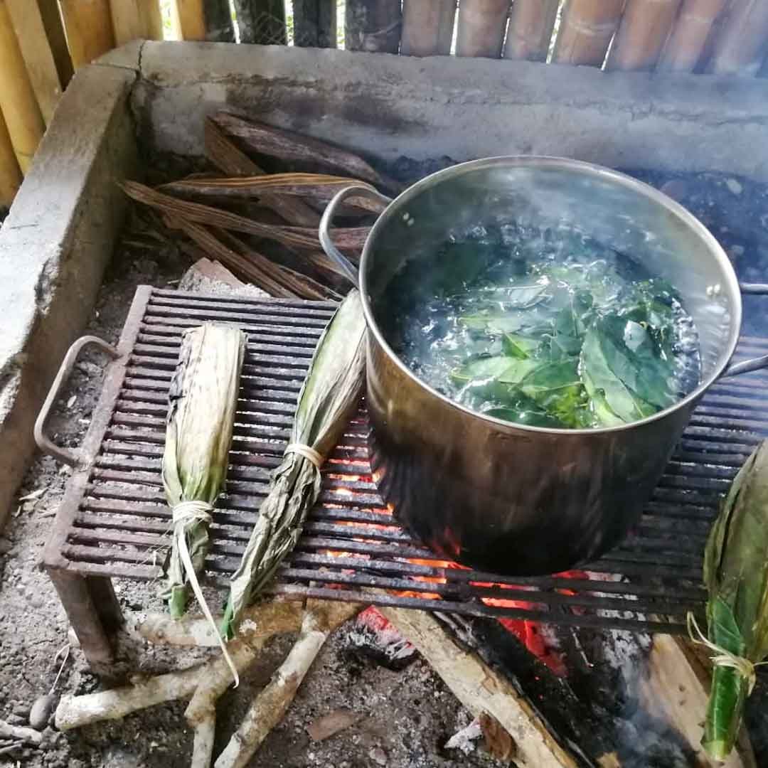 Guayusa-Tee-gekocht.