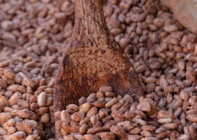 Fermentation schokolade