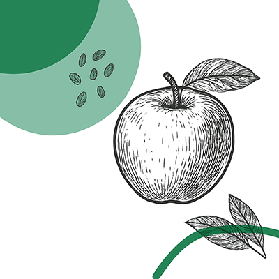 BirnenGelee m Frucht Gelee Vainilla