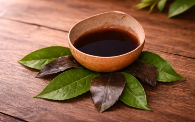 Guayusa vs. Kaffee – warum Guayusa Tee sanfter wach macht